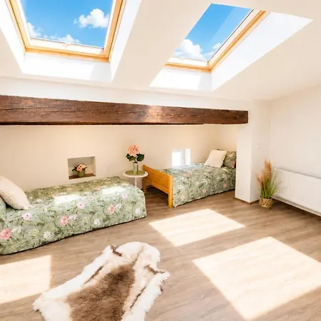 شقة Old Town Loft 11 - Cz أولوموك